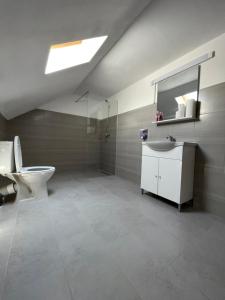 a bathroom with a toilet and a sink and a mirror at La Scoabă in Baia de Fier +61 photos
