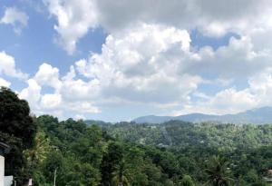 a view of a forest of trees and clouds at sands villa in Kandy
