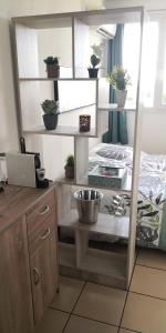 Zimmer mit einem Bett und einem Schreibtisch mit Topfpflanzen in der Unterkunft Studio équipé Clim TV Wifi in Saint-Denis
