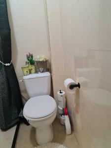 a bathroom with a white toilet and a shower at יחידת דיור (חדר וחצי) - גינה פרטית, חנייה חופשית ! in Herzliya