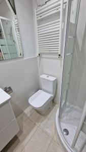 ein weißes Bad mit einem WC und einer Dusche in der Unterkunft Casa Mari 