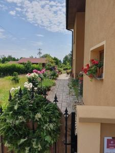 Giardino di Pokoj v zahradě