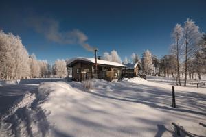 a log cabin in a snow covered field with trees at Luxury Aurora glass Igloo, hot tub & sauna cottage in Rovaniemi