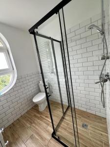 a bathroom with a shower and a toilet at Apartamenty Firfas Rodzinny 11 in Bydgoszcz