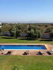 a swimming pool in a field with benches around it at AYOR FES in El Oulaij +86 photos