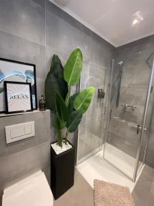 ein Badezimmer mit einer Dusche und einer Topfpflanze in der Unterkunft Ferienwohnung Domizil am Delft II Emden in Emden