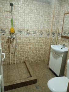 a bathroom with a shower and a sink and a toilet at City Center Cozy Apartment Tigran Mets in Yerevan