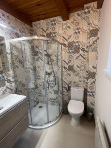 a bathroom with a shower and a toilet at Dom letniskowy nad jeziorem - Kaszuby in Podjazdy