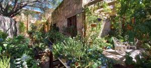 einen Garten mit vielen Pflanzen in einem Gebäude in der Unterkunft Casa Santa Lucia in Tilcara