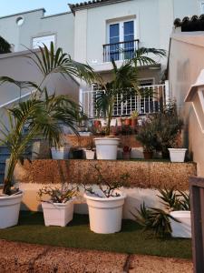 a bunch of potted plants inront of a house at Relax and Enjoy in Tenerife Sud! in Chayofa