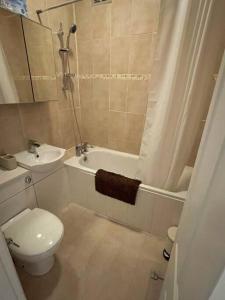 a bathroom with a toilet and a tub and a sink at One Bedroom Flat in the heart of Islington in London