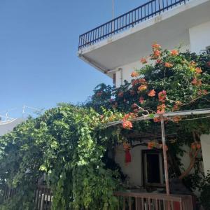 a building with flowers on the side of it at AMPELOS ANDROS in Batsi