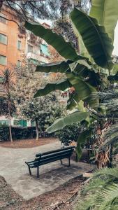 a park bench sitting next to a large banana tree at Casa Monuriki in Rapallo