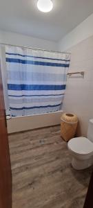 a bathroom with a toilet and a shower curtain at Marear in Porto Santo +18 photos