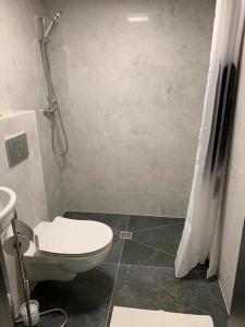 a bathroom with a shower with a toilet and a sink at Wiejska 21 in Ruciane-Nida