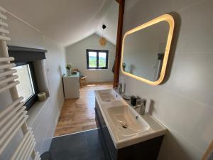 a bathroom with a sink and a mirror at Gîte au cœur des Gorges de la Loire in Aurec-sur-Loire +20 photos