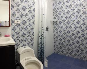 a small bathroom with a toilet and a shower at Apartamentos sophia in San Andrés