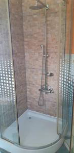 um chuveiro com uma caixa de vidro na casa de banho em Pokoj s krásným výhledem v podkroví em Chrudim