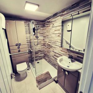 uma casa de banho com um chuveiro, um lavatório e um WC. em Holly Lodge em Pembrokeshire