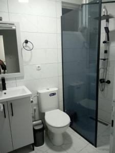 La salle de bains est pourvue de toilettes et d'une douche en verre. dans l'établissement Anabela Apartment, à Ohrid
