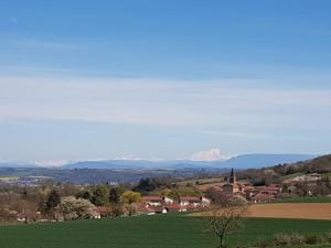 un champ vert avec des montagnes en arrière-plan dans l'établissement Chez Lofred 1, à Four