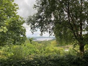 a view of the ocean from between two trees at Blue Stack View 