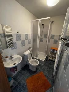 a bathroom with a toilet and a sink and a shower at Penzion Za potokem in Nová Pec