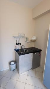 a small kitchen with a sink and a trash can at Pame Apartments in Valanidorachi