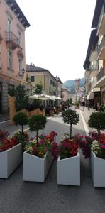 a group of potted plants on a street with buildings at Appartamento "Roby" in centro Cavalese in Cavalese