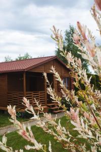 una cabaña de madera con flores rosas delante en Domki u Bukowskich en Jezierzany