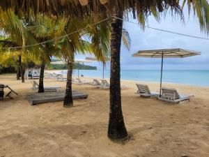 a beach with chairs and an umbrella and palm trees at Ocean View in Big Corn Island
