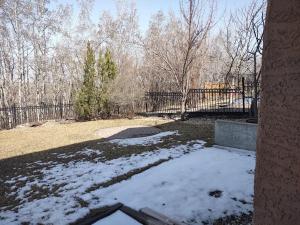 Spacious One Bedroom Walkout Basement Suite v zimě