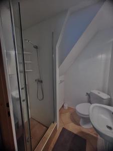 a bathroom with a shower and a toilet and a sink at Gościniec rybacki in Dąbki