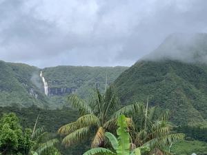 ラ・プレンヌ・デ・パルミストにあるVilla Lilianeのヤシの木のある山の真ん中にある滝