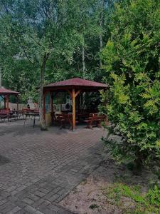 ドンプキにあるGościniec rybackiの公園内のピクニックテーブルとベンチ付きパビリオン