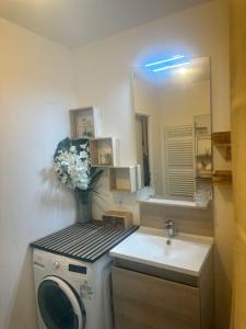 a bathroom with a washing machine and a sink at PENTHOUSE Terrasse Jacuzzi 6 voyageurs in Le Blanc-Mesnil