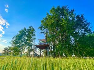 a tree house in a field of tall grass at Zelený ostroff Treehouse in Jiříkov