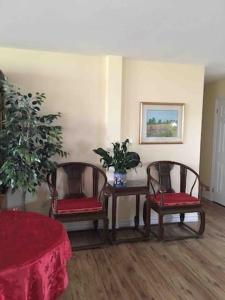 a living room with two chairs and a table with a plant at Lica’s house in Vernon Bridge