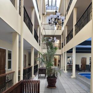 un pasillo de un edificio con una maceta en 101 Suites en Paramaribo