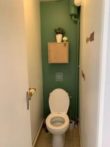 a bathroom with a toilet and a green wall at La Vallée Claire in Le Blanc