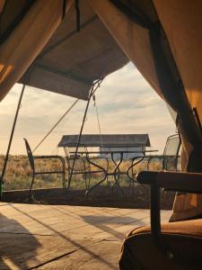 a view from the inside of a tent looking out at a field at Prairie Falcon in Valle