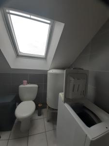 a bathroom with a toilet and a sink and a window at T2 4p ste Savine proche centre Troyes in Sainte-Savine