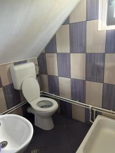 a bathroom with a toilet and a sink at Cabana Vladimir in Cucuceni