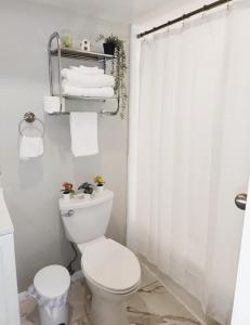 a bathroom with a toilet and a white shower curtain at Adorable Mini Suite in Tampa in Tampa