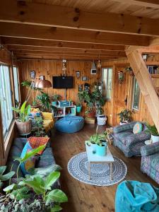 un salon avec des canapés et des plantes en pot dans l'établissement Hostal waiwen, à Matanzas