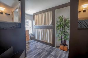 a room with a bed and a potted plant at Burlington Hostel in Los Angeles