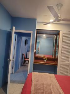 1 dormitorio con 1 cama con espejo y ventilador de techo en K&S Apartment en Singatoka