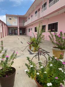 Hotel Jacaranda في توكستلا غوتيريز: ساحة مع نباتات الفخار أمام المبنى