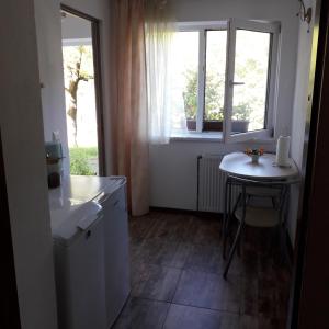 a small kitchen with a table and a window at Casa Victoria Anina in Anina