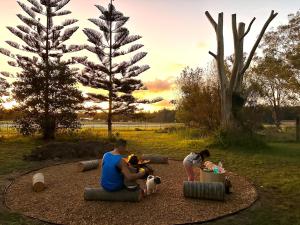 a group of people playing with their dogs in a park at Tulloch Estate in Tuncurry